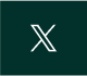 X Icon