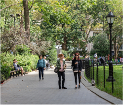 Union Square park in nature